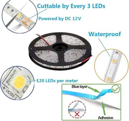 Lumières à LED flexibles 600 Unités LED Bandes LED étanches 12 Volts LED Bandes de lumière Pack de 16,4 pieds / 5m pour la fête de la maison de vacances Décoration intérieure extérieure étanche Blanc 1 Pack