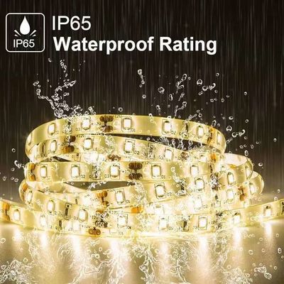 Lumières à LED flexibles 600 Unités LED Bandes LED étanches 12 Volts LED Bandes de lumière Pack de 16,4 pieds / 5m pour la fête de la maison de vacances Décoration intérieure extérieure étanche Blanc 1 Pack
