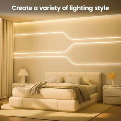 Décoration de bricolage Tubes lumineux à bande de néon RGB personnalisés 12v 24v SFlexible Lumière à bande de néon Pour la décoration des fêtes Silicone IP67 étanche à l'eau Lumière de néon extérieure