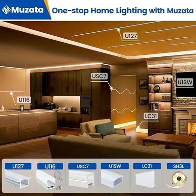 Éclairage extérieur étanche à l'eau 12/24V Silicone LED Strip Pour la décoration de la maison Neon LED Strip Lumières Blanc 16,4ft/5m Neon Light Strip 12V Silicone étanche à l'eau LED flexible Neon Lumières à corde Pour la salle de bains Festival