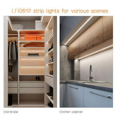 24V/12V.DC 10W bande lumineuse au néon flexible personnalisée pour la décoration du plafond