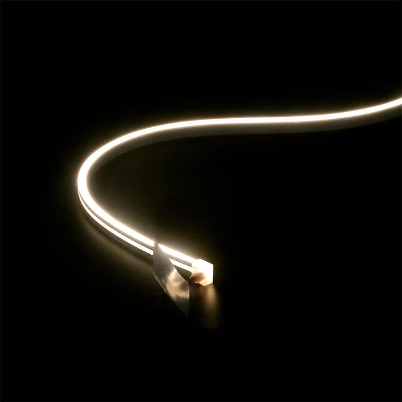 24V/12V.DC 10W bande lumineuse au néon flexible personnalisée pour la décoration du plafond
