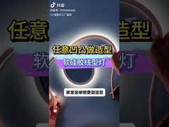 bande lumineuse néon souple