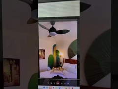 ventilateur de plafond à LED de bonne qualité, best-seller